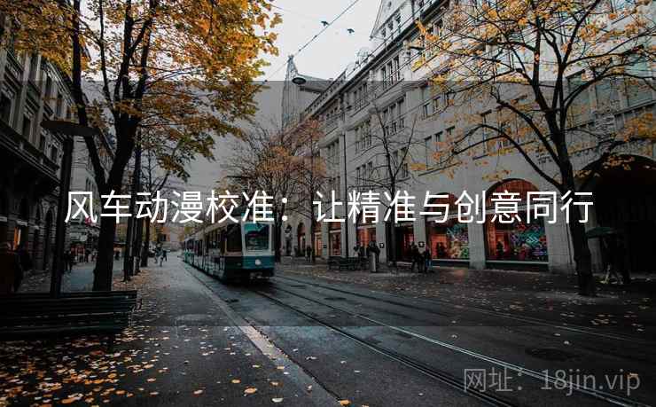 风车动漫校准：让精准与创意同行